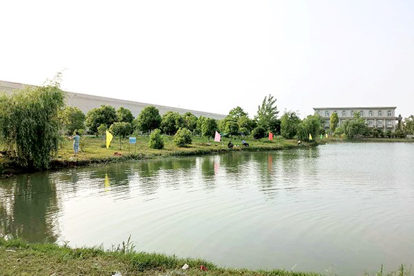 1589794661692548.jpg 4321.jpg