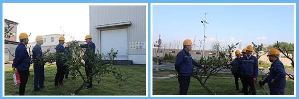 1602209942995354.jpg 18.jpg