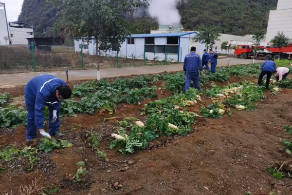 1741138423828836.jpg 1.jpg